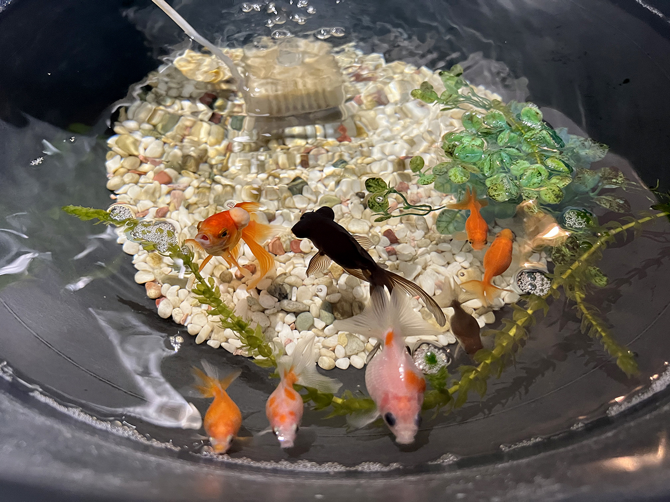 周南市　ウイッグ　美容室来夢