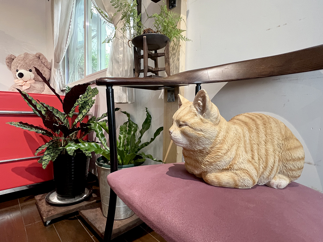 周南市　ウイッグ　美容室来夢